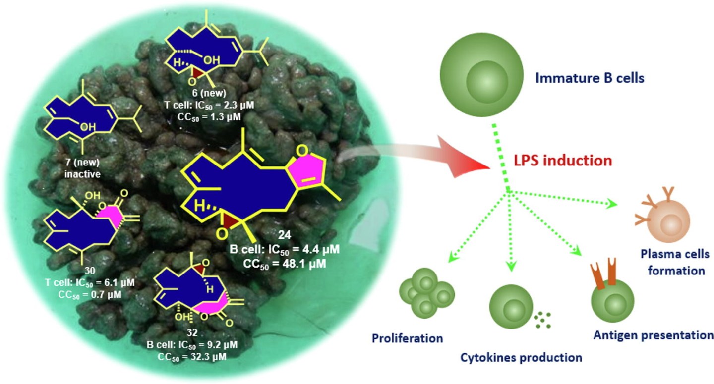 PUBLICATIONS – Wu Lab at Pitt