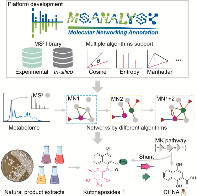PUBLICATIONS – Wu Lab at Pitt